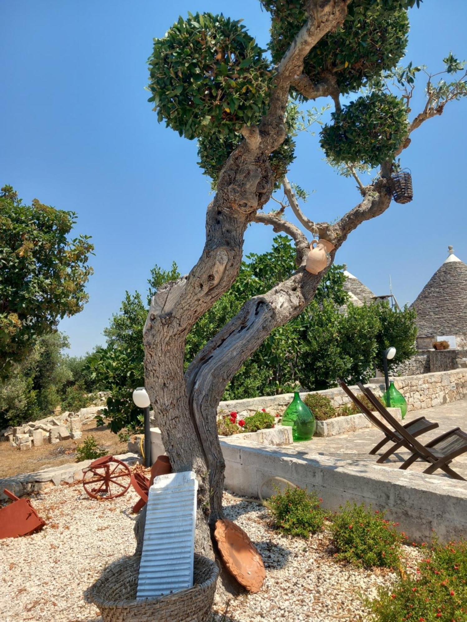 Trullo Monte Del Sale Guest House Alberobello Ngoại thất bức ảnh