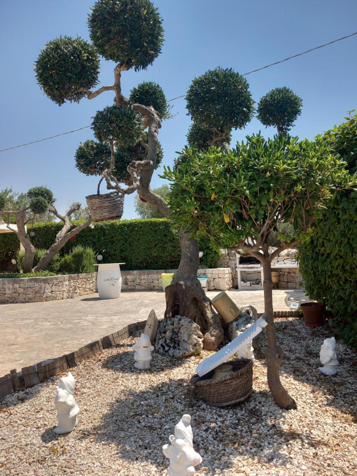 Trullo Monte Del Sale Guest House Alberobello Ngoại thất bức ảnh