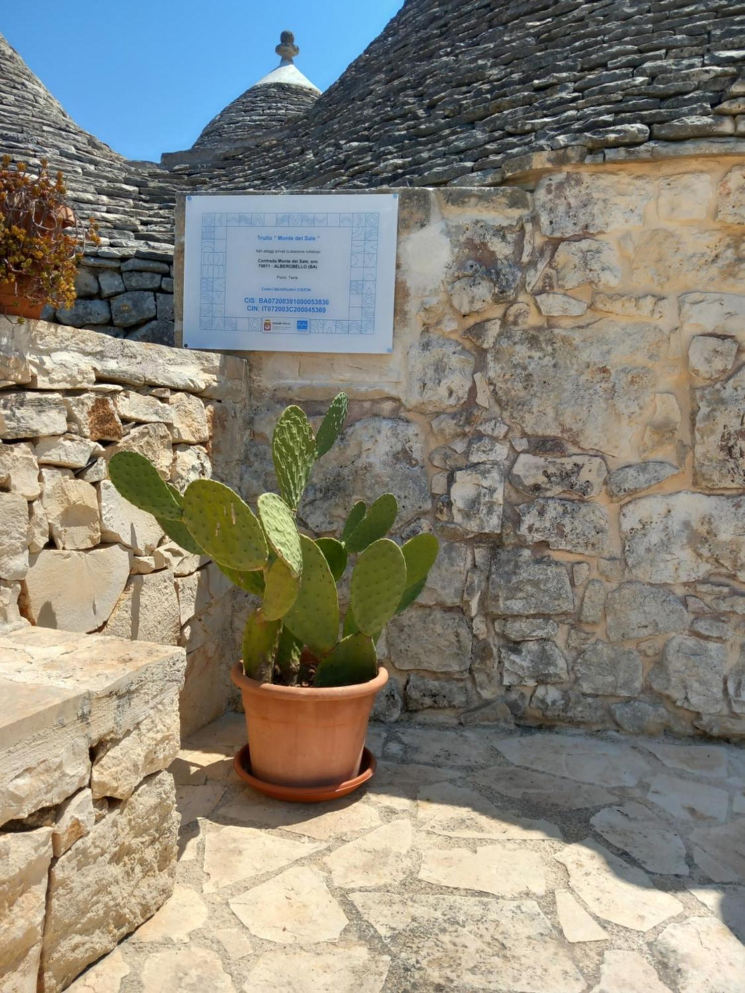 Trullo Monte Del Sale Guest House Alberobello Ngoại thất bức ảnh