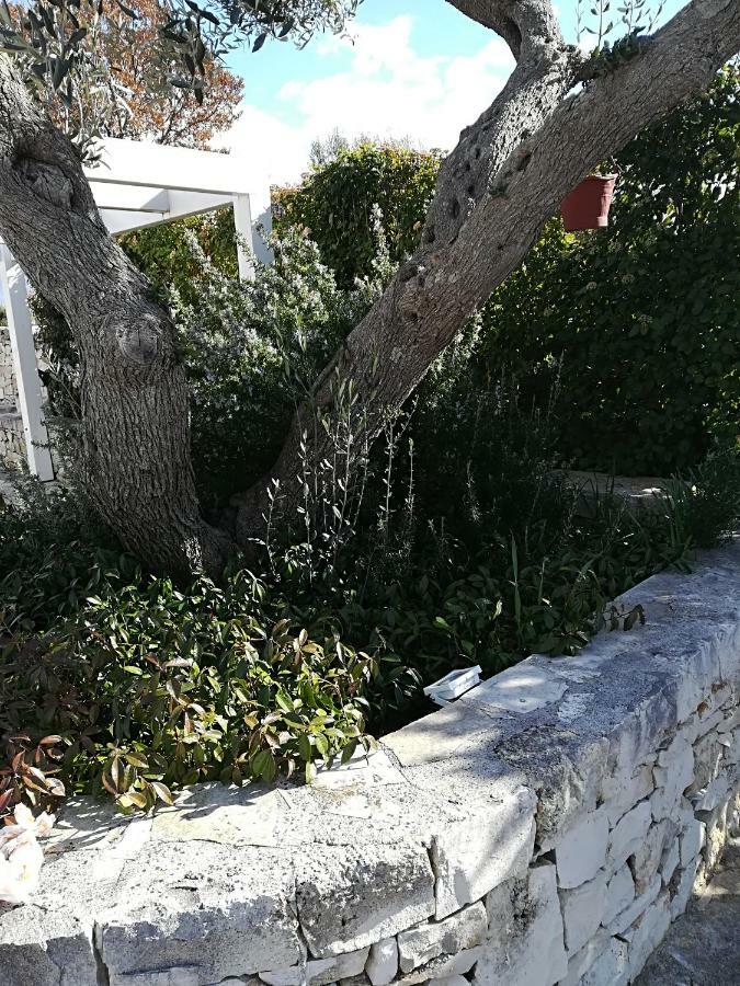 Trullo Monte Del Sale Guest House Alberobello Ngoại thất bức ảnh