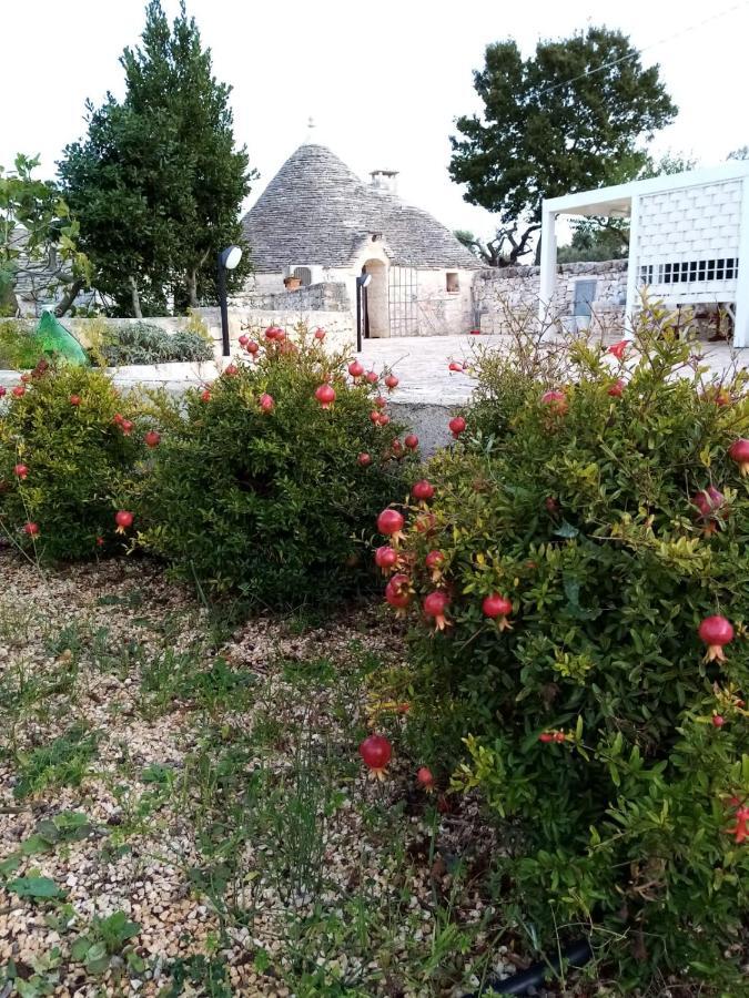 Trullo Monte Del Sale Guest House Alberobello Ngoại thất bức ảnh